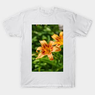 Orange lily T-Shirt